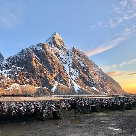 Renovated Barn With A View *